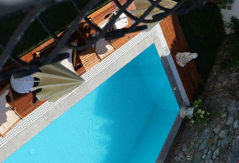 اتاق اکونومی, La Sorella Butik