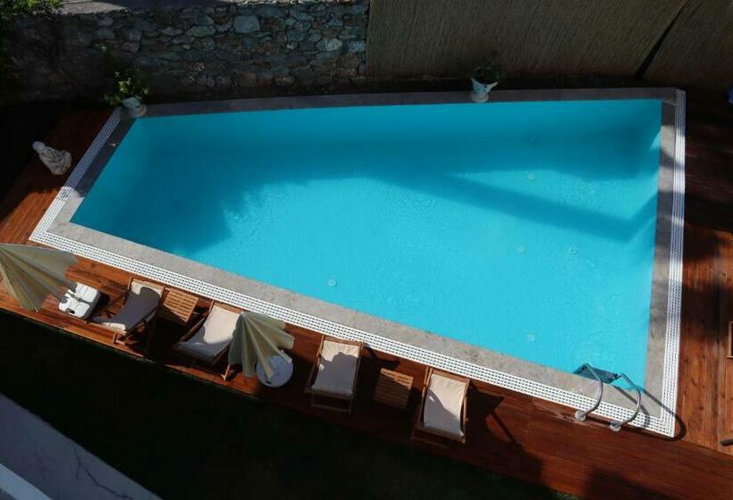 اتاق اکونومی, La Sorella Butik