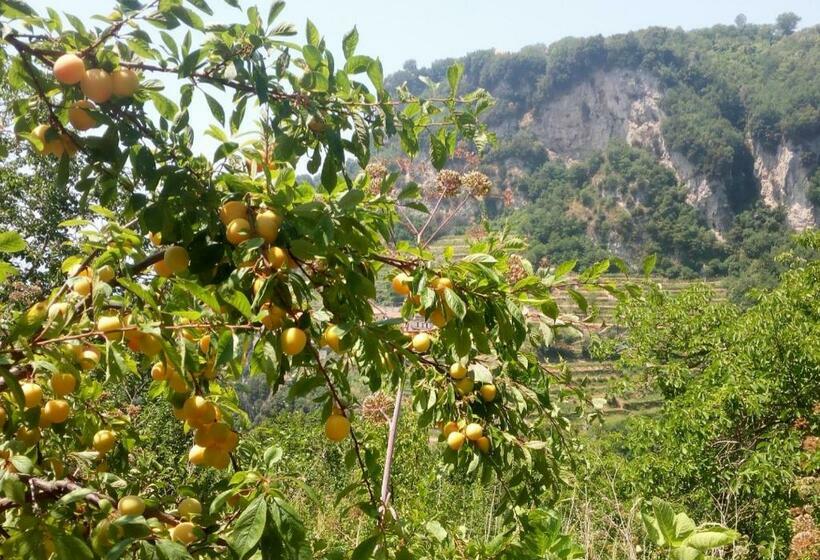 Standard Szoba, Agriturismo Orrido Di Pino