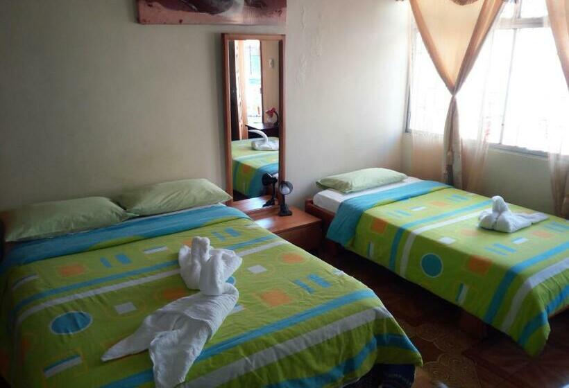 חדר קלאסי לארבעה, Hostal Miconia