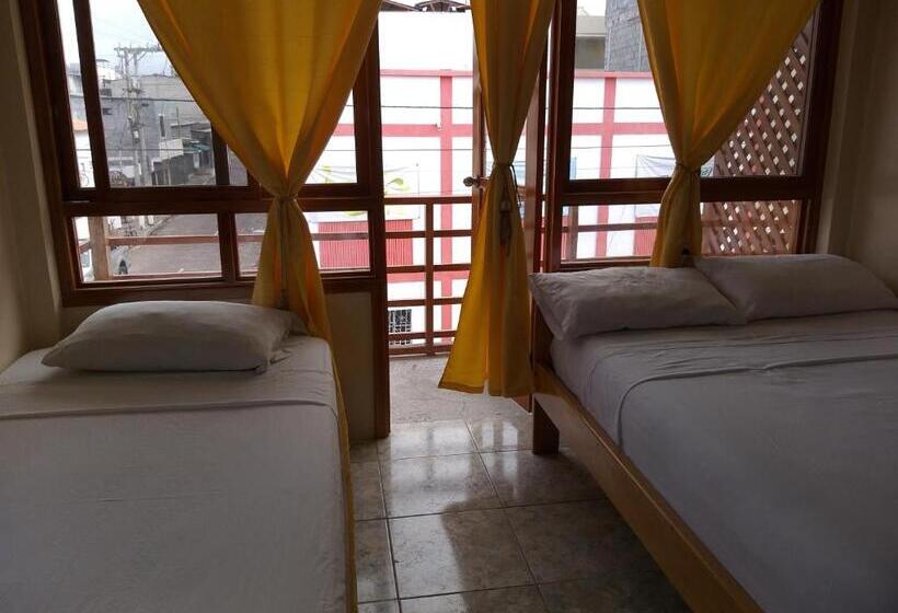 סוויטה עם נוף לעיר, Hostal Miconia