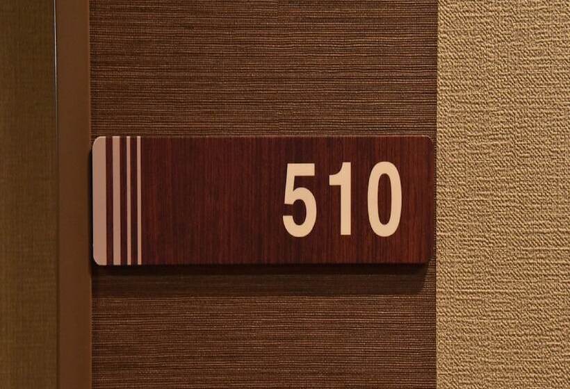 Номер Стандарт, Dormy Inn Abashiri