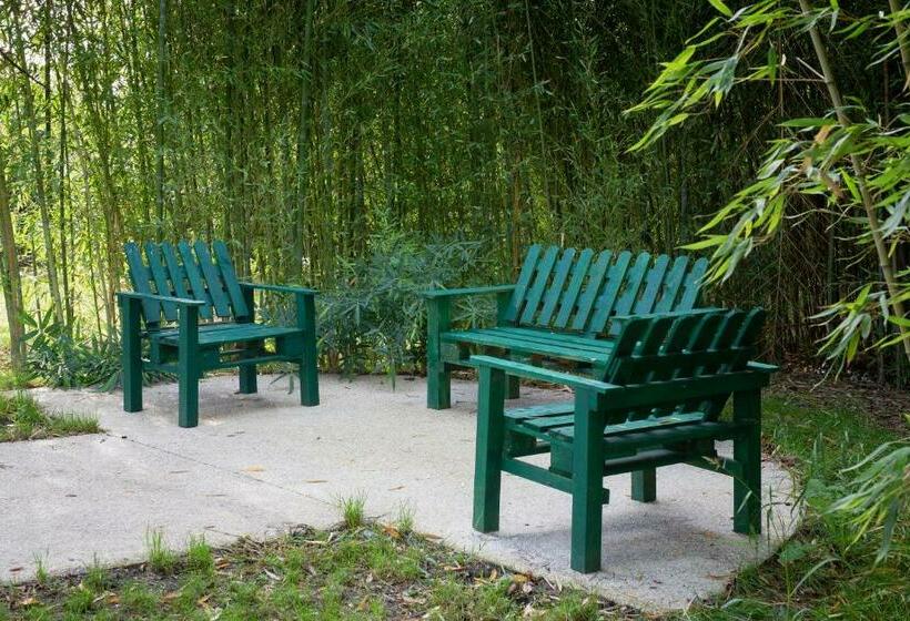 Апартаменты 1 Спальня, L Orangerie De Beauséjour