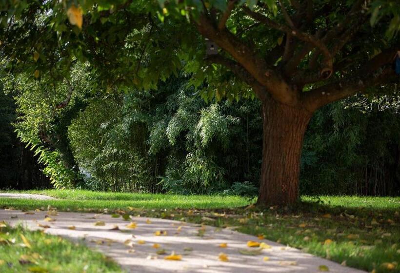 Апартаменты 1 Спальня Вид на Сад, L Orangerie De Beauséjour
