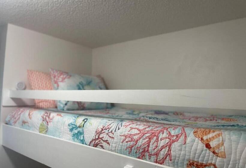 １ベッドルームハウス, Navarre Beach