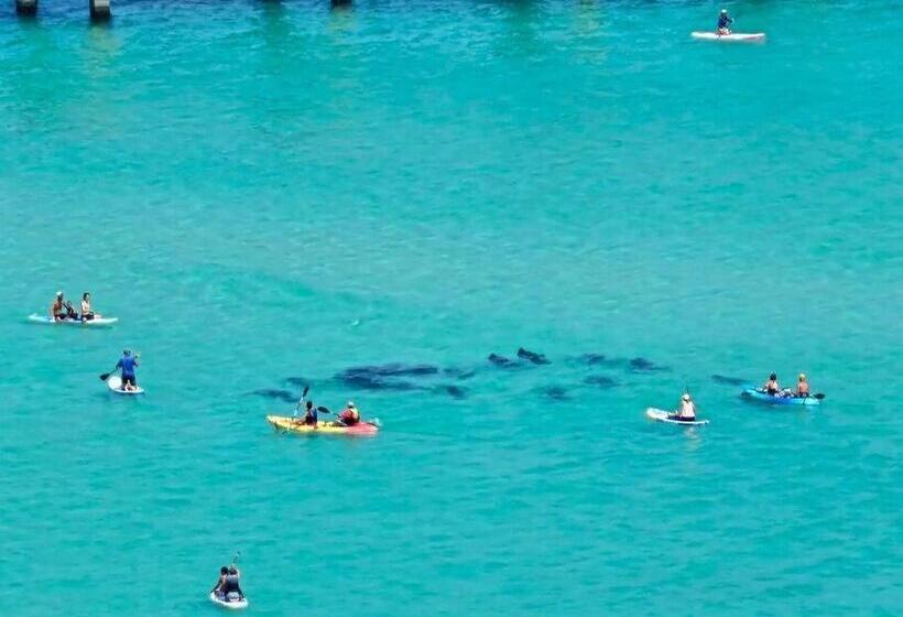 １ベッドルームハウス, Navarre Beach