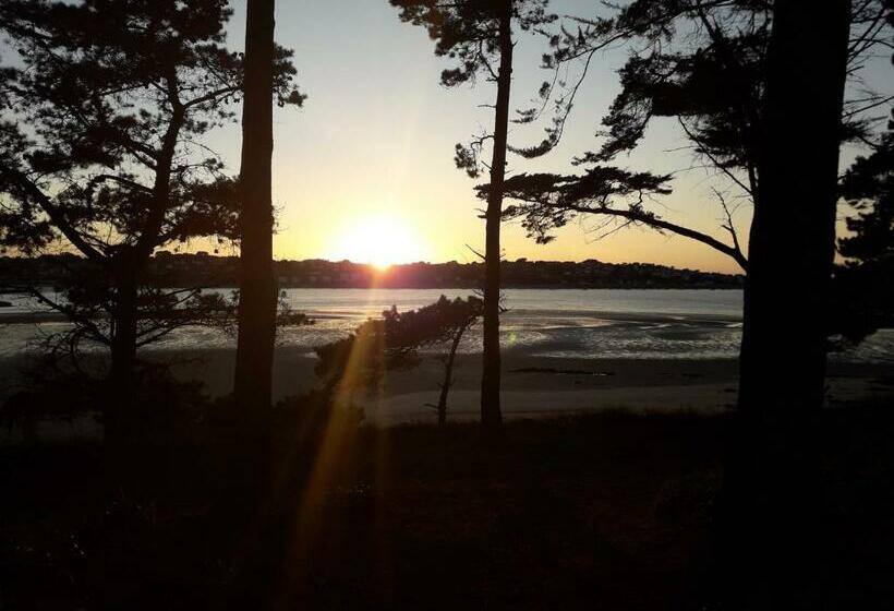 スタンダードルーム, Les Tilleuls