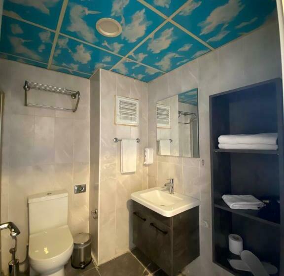 إستوديو قياسى, Pin Suites