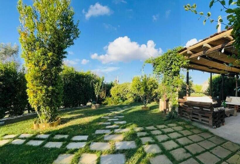 חדר קלאסי לשלושה, Masseria Li Vecchi