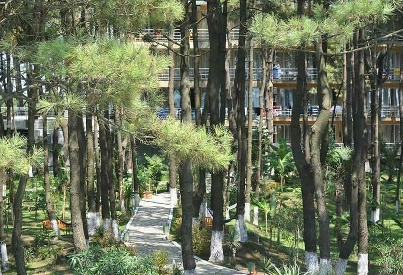 سوییت سوپریور با چشم‌انداز دریا, Andamati Beach Resort