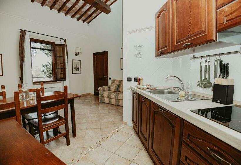 带1个卧室的豪华公寓, Agriturismo Terra Di Dio Toscanizzazione