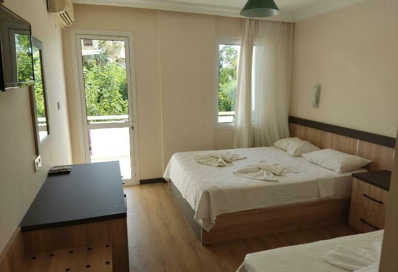 غرفة قياسية, Palmiye