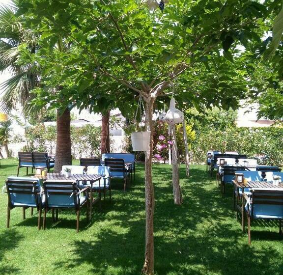 غرفة قياسية, Palmiye