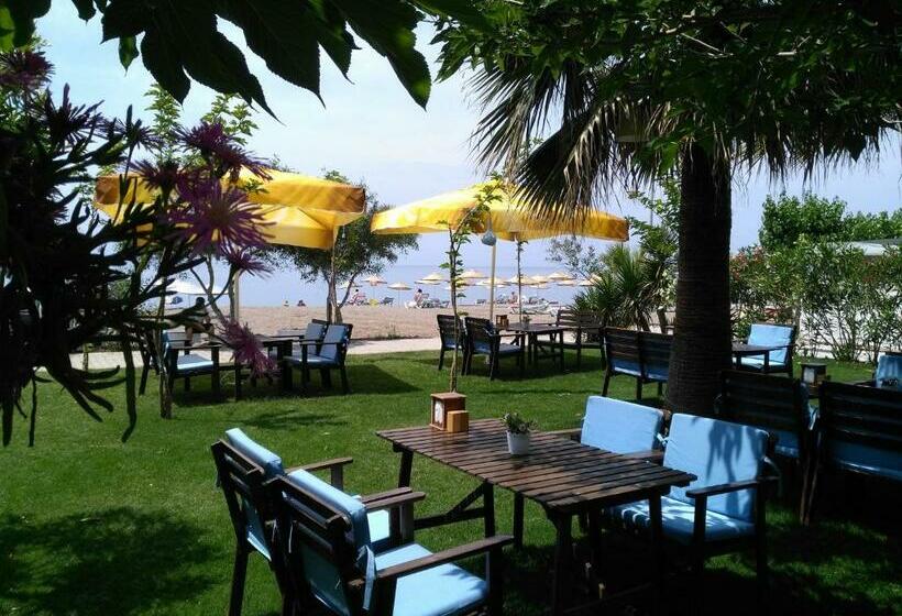 غرفة قياسية, Palmiye