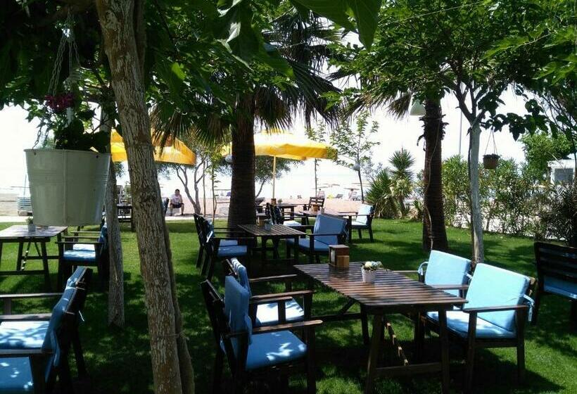 غرفة قياسية, Palmiye