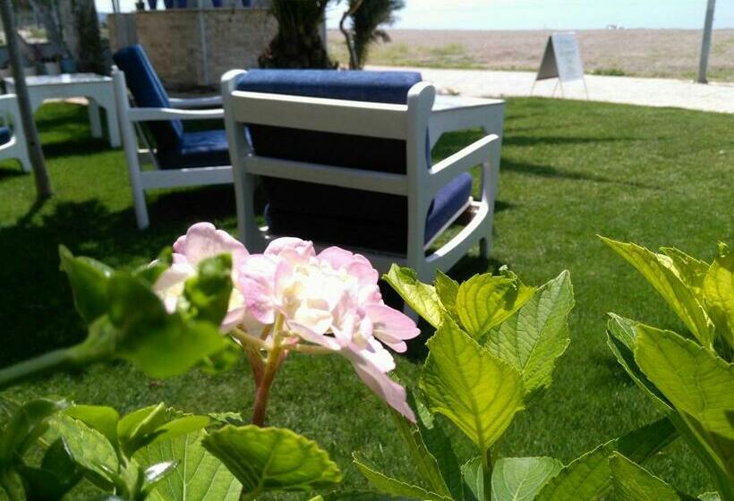 غرفة قياسية, Palmiye