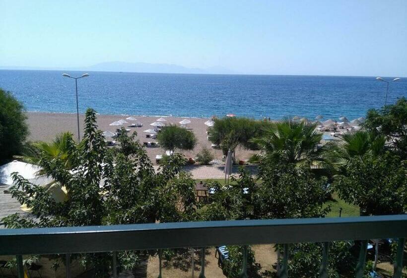 غرفة قياسية ثلاثية, Palmiye