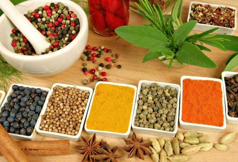 חדר סטנדרט, Weaver Bird Villa