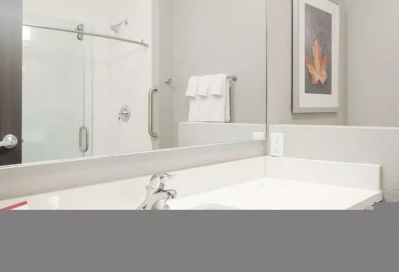 Sviitti, Candlewood Suites Kearney, An Ihg