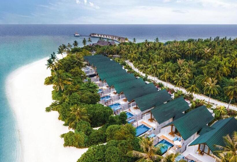 ویلای یک اتاق خوابه با استخر شنا, Furaveri Maldives