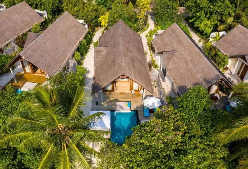 ویلای یک اتاق خوابه با استخر شنا, Furaveri Maldives