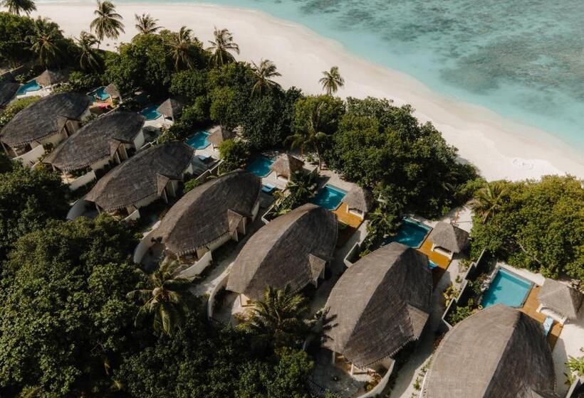 ویلای یک اتاق خوابه با استخر شنا, Furaveri Maldives