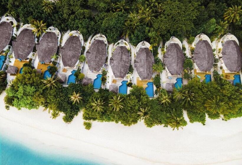 ویلای یک اتاق خوابه با استخر شنا, Furaveri Maldives