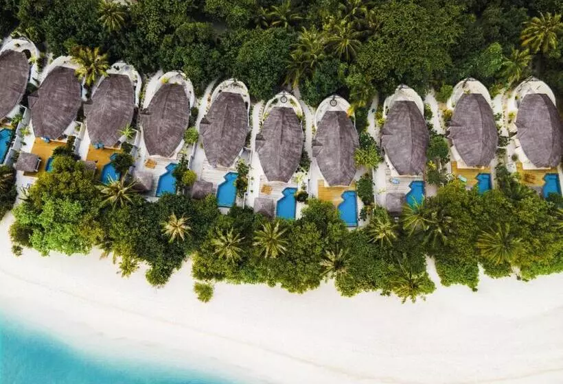ویلای یک اتاق خوابه با استخر شنا, Furaveri Maldives