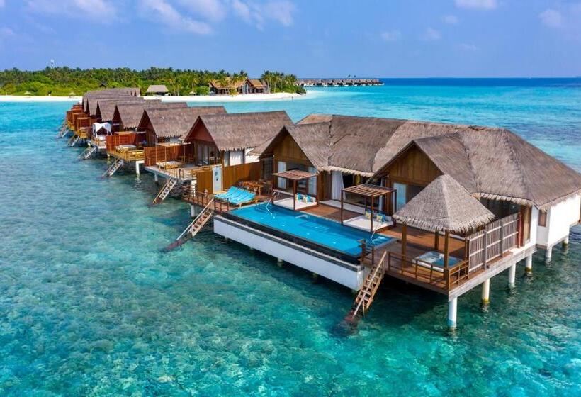 آپارتمان 2 خوابه, Furaveri Maldives