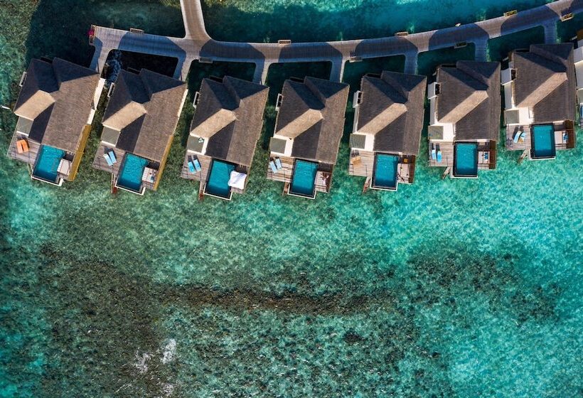 ویلای یک اتاق خوابه با استخر شنا, Furaveri Maldives