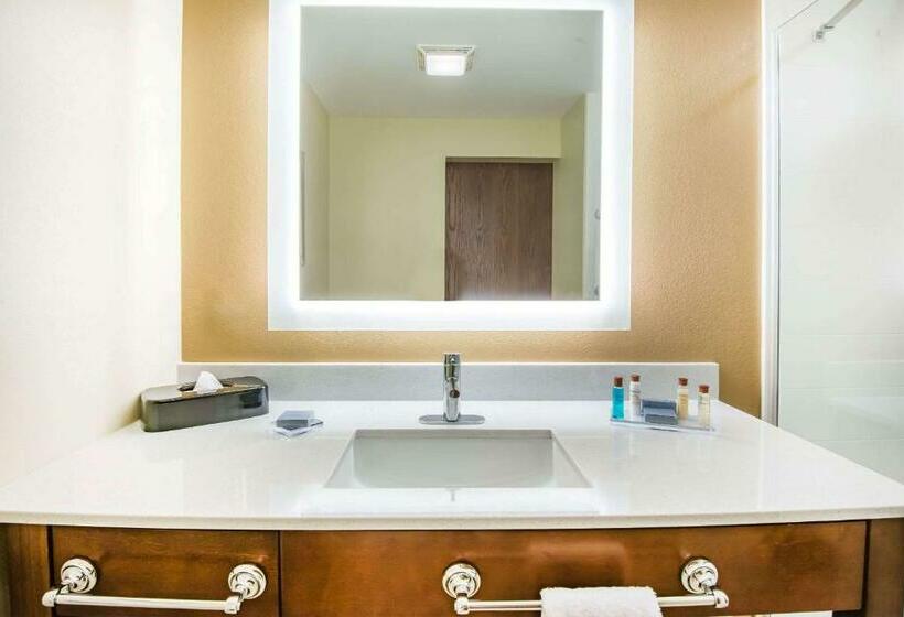Люкс Кровать Кинг, Hawthorn Extended Stay By Wyndham Saint Clairsville