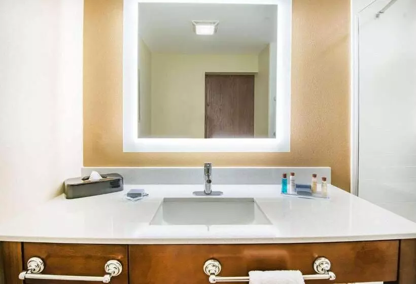 デラックススタジオ, Hawthorn Extended Stay By Wyndham Saint Clairsville