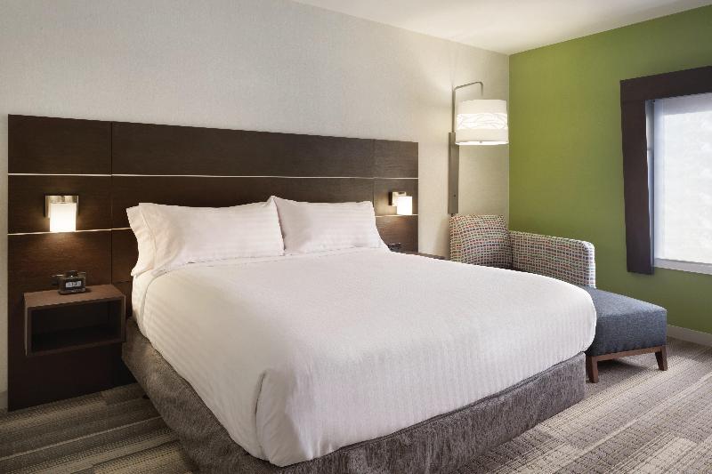 이그제큐티브 룸 킹사이즈 침대, Holiday Inn Express Atlanta Sw   Newnan, An Ihg