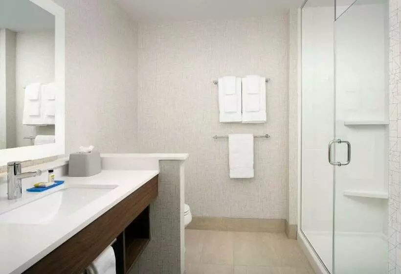スタンダードルーム, Holiday Inn Express Atlanta Sw   Newnan, An Ihg