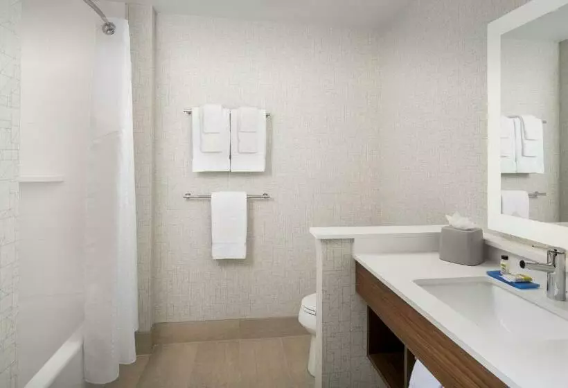 身障者適用スタンダードルーム, Holiday Inn Express Atlanta Sw   Newnan, An Ihg