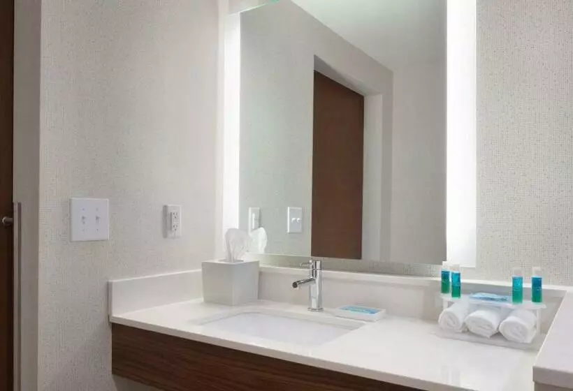 身障者適用スタンダードルーム, Holiday Inn Express Atlanta Sw   Newnan, An Ihg