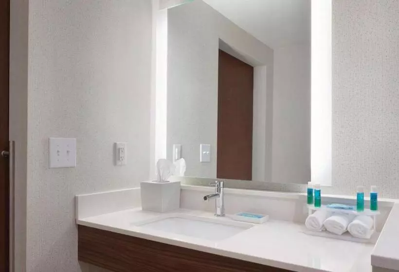 キングサイズベッドのスタンダードルーム, Holiday Inn Express Atlanta Sw   Newnan, An Ihg