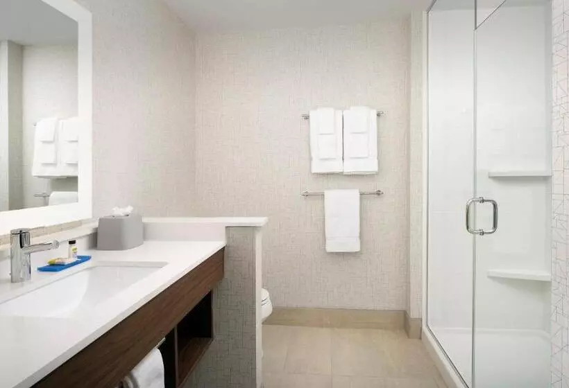 身障者適用キングサイズベッドルーム, Holiday Inn Express Atlanta Sw   Newnan, An Ihg