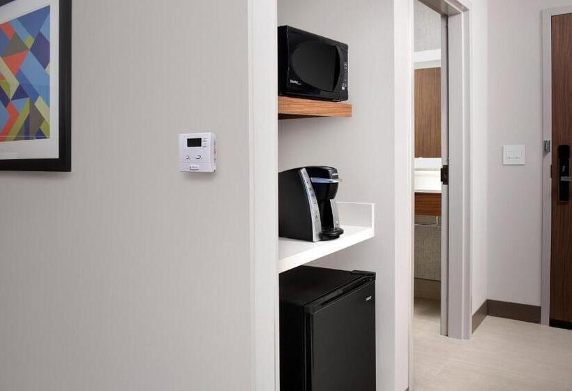 장애인을 위한 킹사이즈 침대 스탠다드 룸, Holiday Inn Express Atlanta Sw   Newnan, An Ihg