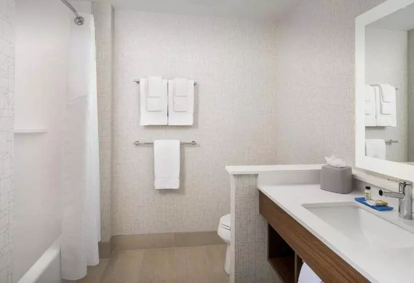 エクゼクティブルーム, Holiday Inn Express Atlanta Sw   Newnan, An Ihg
