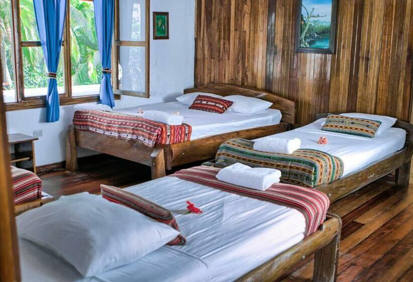 חדר משפחתי, La Isla Inn