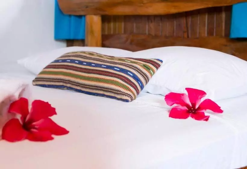 اتاق استاندارد, La Isla Inn