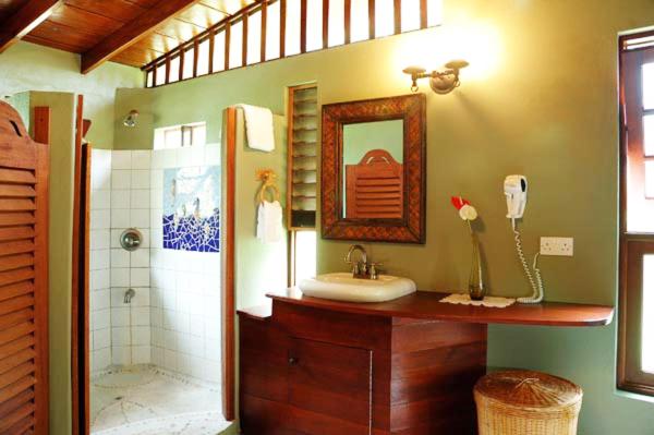 اتاق استاندارد با تخت بزرگ, Spring Hotel Bequia
