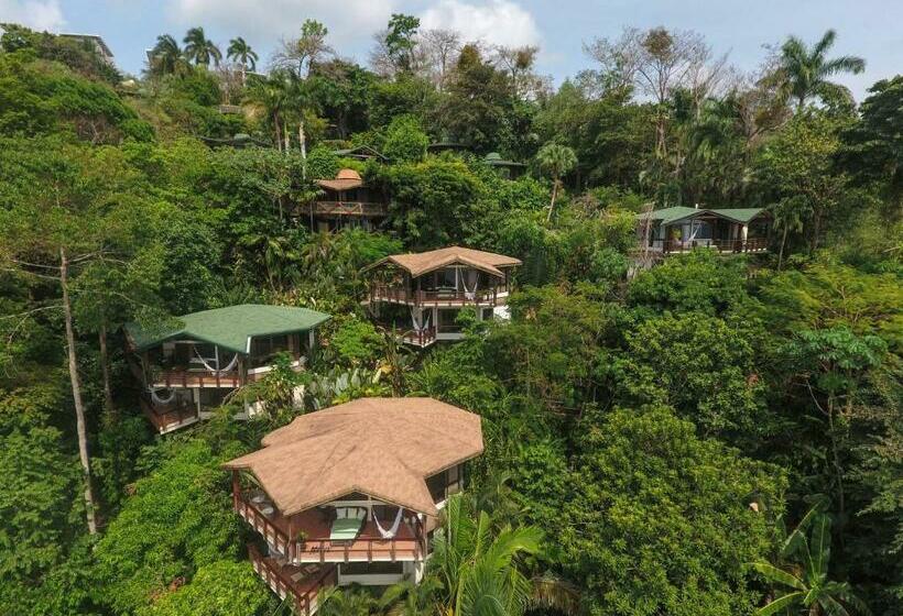 بانگلوی استاندارد, Tulemar Resort