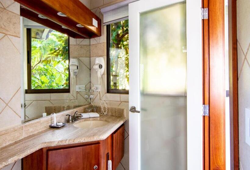 デラックスルーム, Tulemar Resort