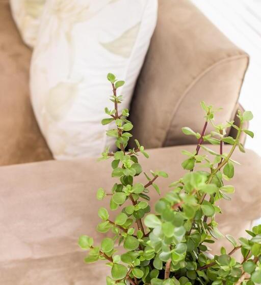 デラックスルーム, Four Palms Accommodation