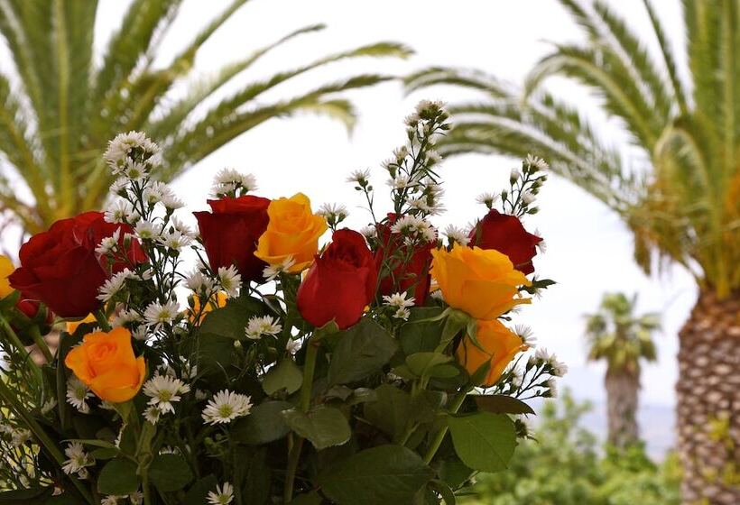 デラックスルーム, Four Palms Accommodation