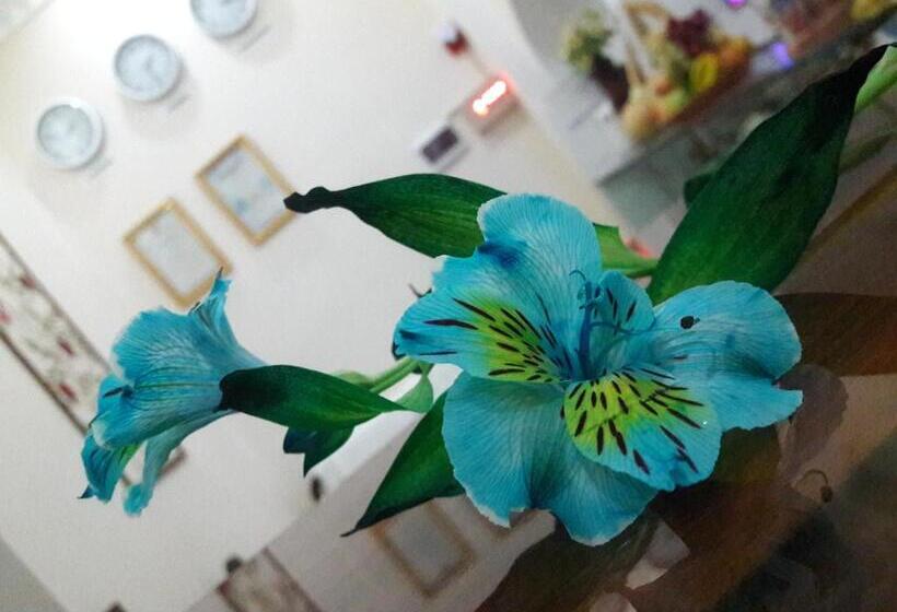 חדר קלאסי לשלושה, Shams