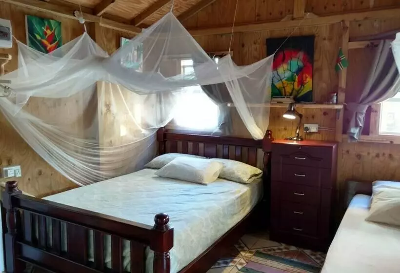 استودیوی استاندارد, Mainroad Suite