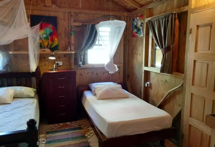استودیوی استاندارد, Mainroad Suite
